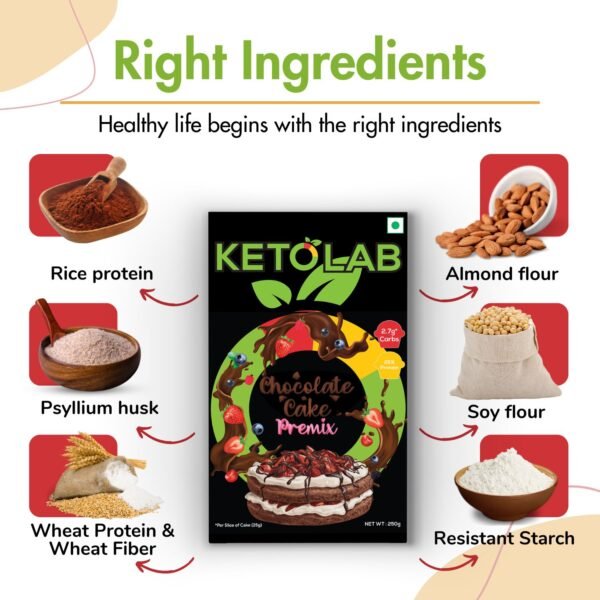 Ketolab Keto Chocolate Cake Pre-Mix - Image 2